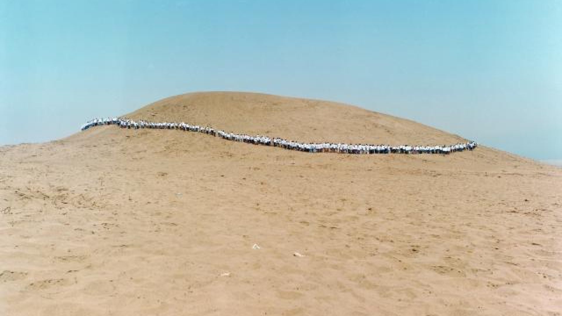 Francis_Alÿs