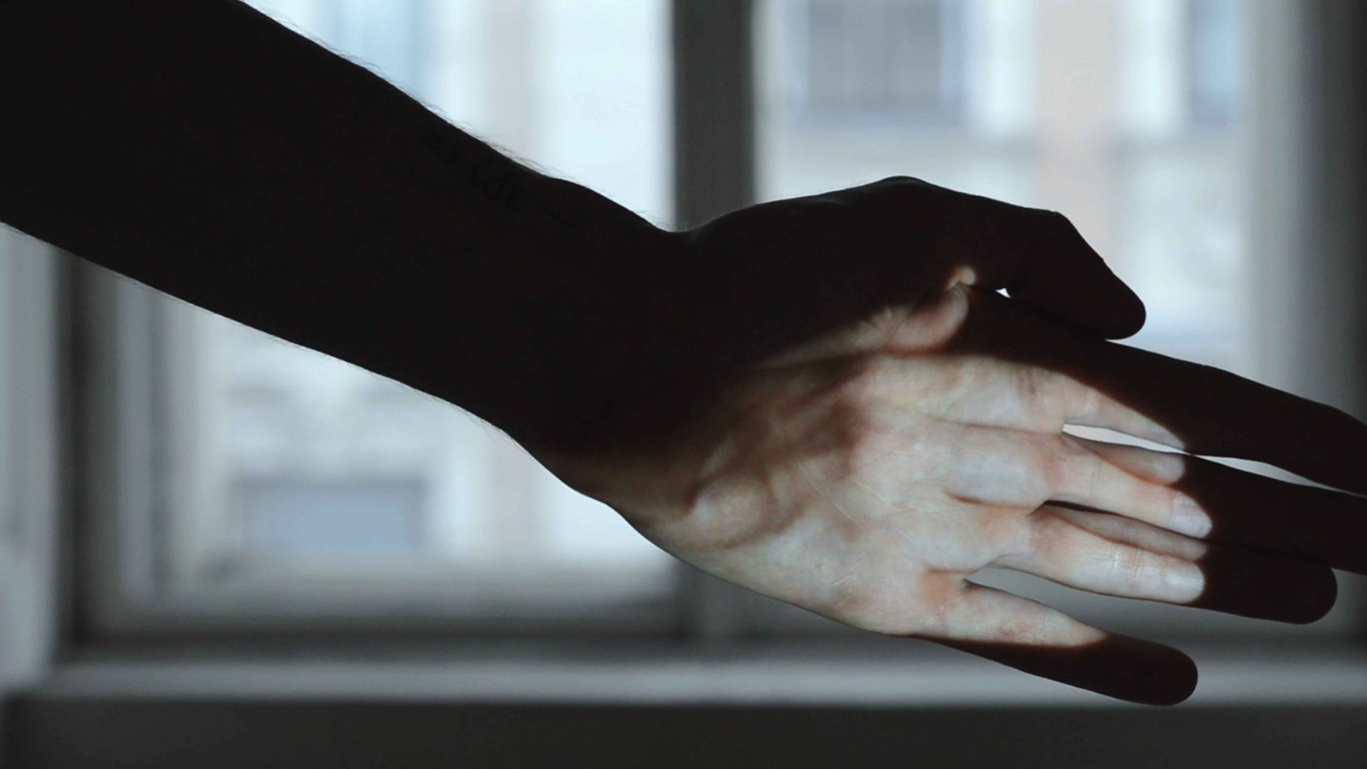 To Hand. A Projection For The Palm di Olena Newkryta (2017)