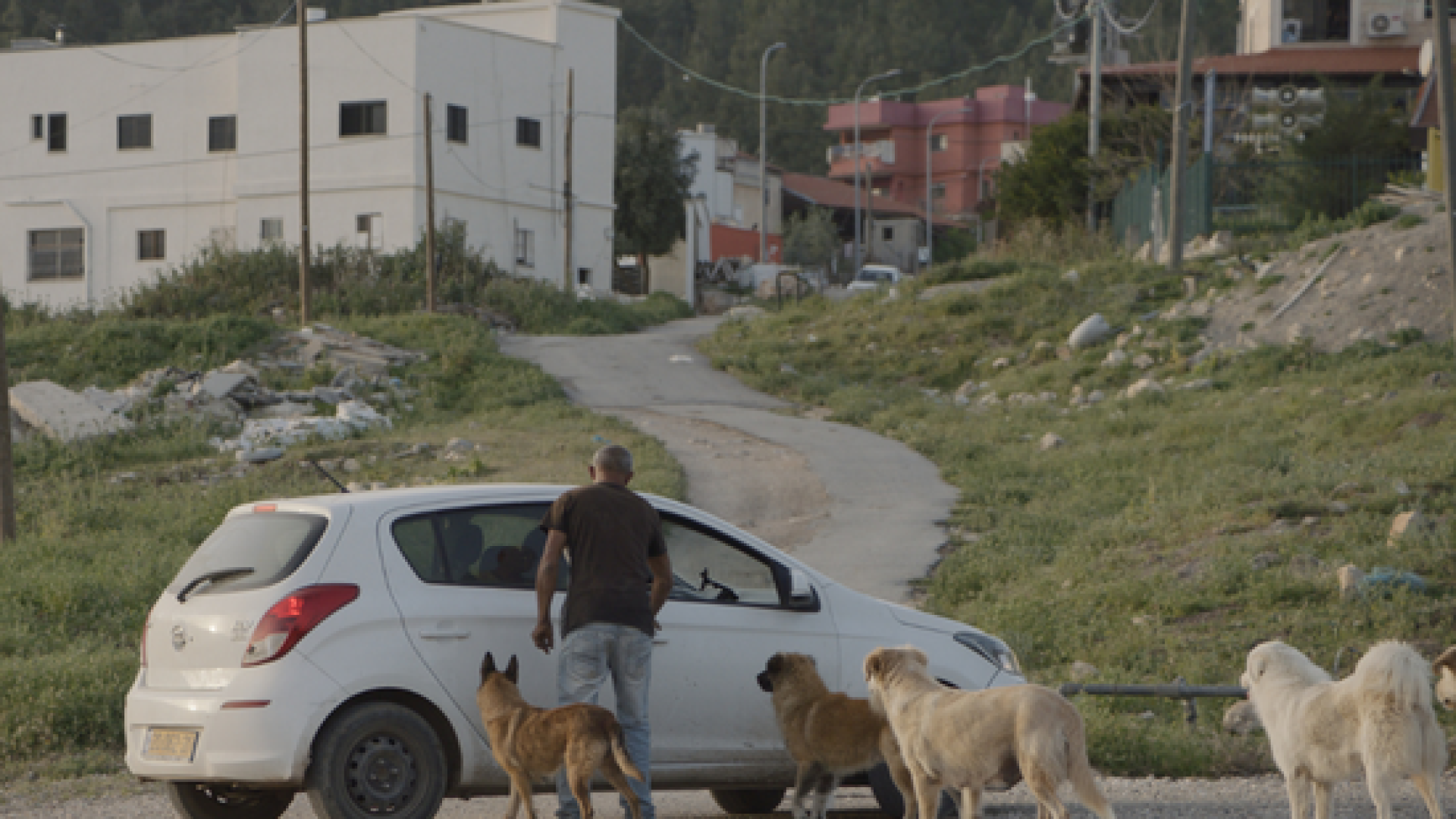 Foragers. Al-Yad Al-Khadra di Jumana Manna, 2022